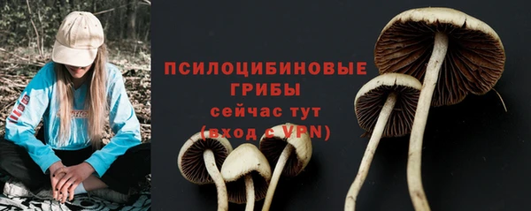 a pvp Абаза