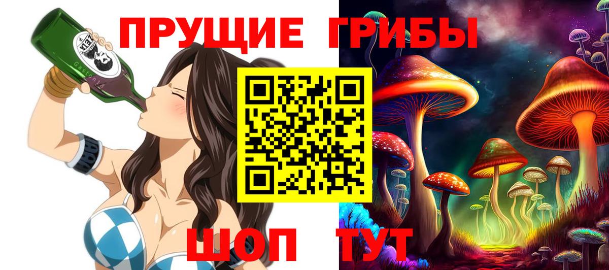 Псилоцибиновые грибы прущие грибы  Вход с VPN  Азнакаево  Псилоцибиновые грибы GOLDEN TEACHER 