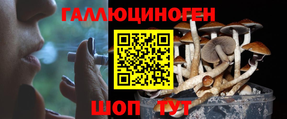 Галлюциногенные грибы ЛСД Азнакаево